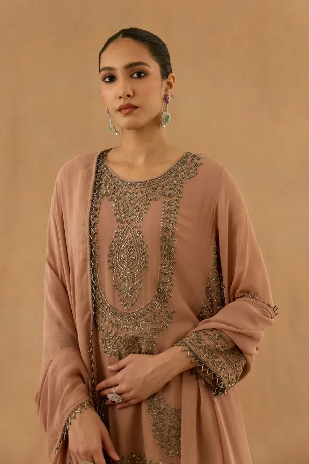Light Taupe Georgette Suit Set