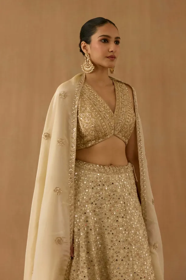 Beige tissue silk lehenga set