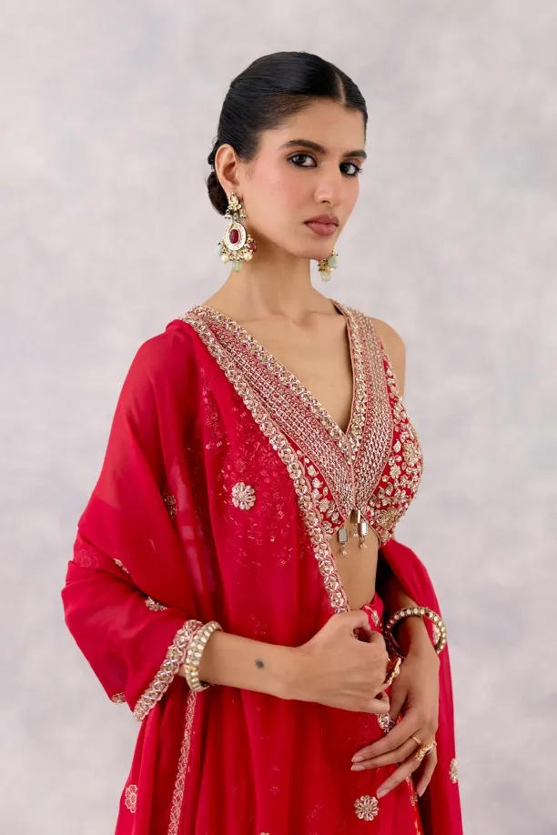 Rani Red Georgette Lehenga Set