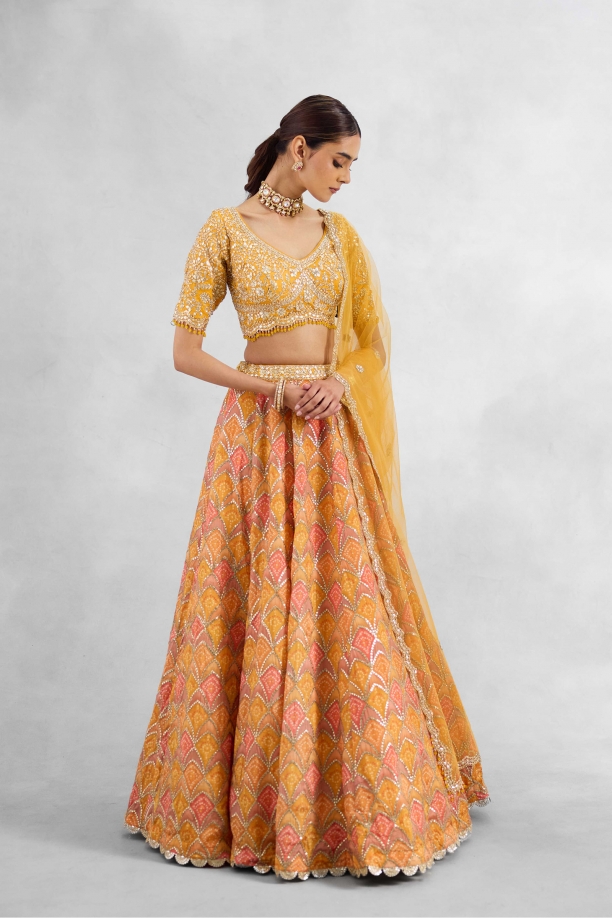 Creamsicle Orange Lehenga Set 