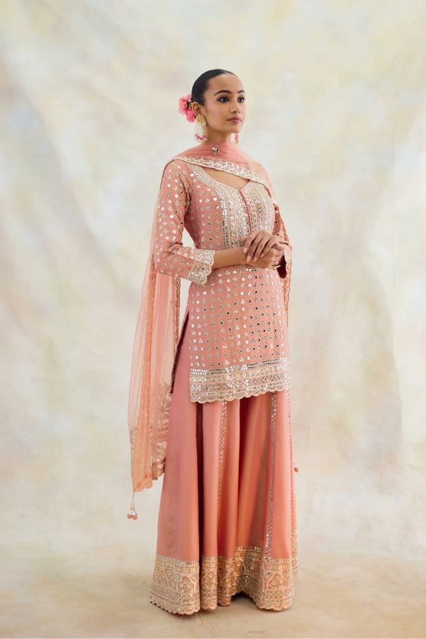 Blush Pink Tissue Sharara Set 