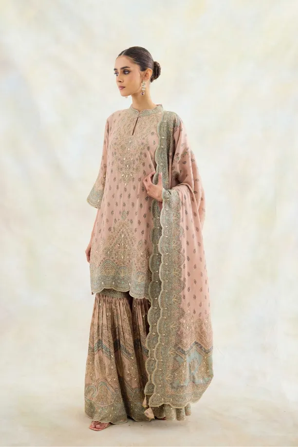 Soft Pink Embelished Garara Set