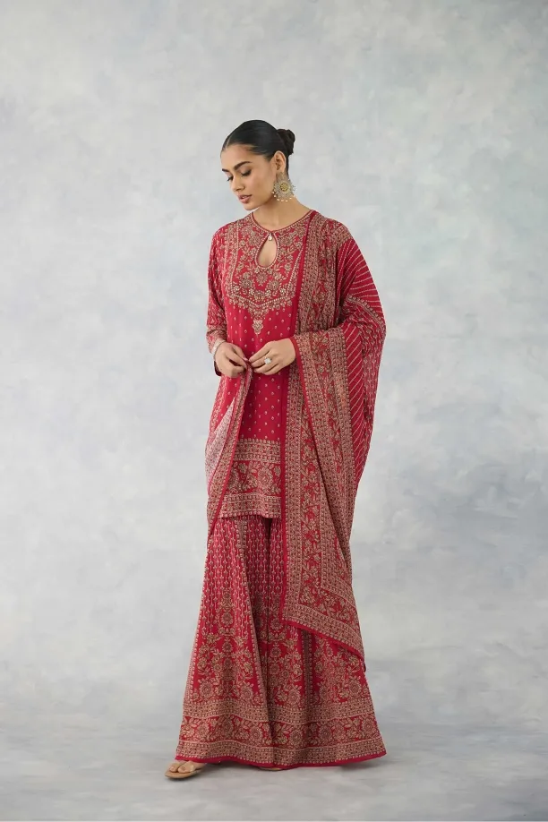 Blush Carmine Sharara Set