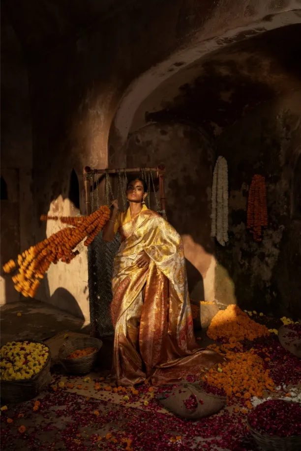 Temple Gold Tissue Kanjivaram Saree