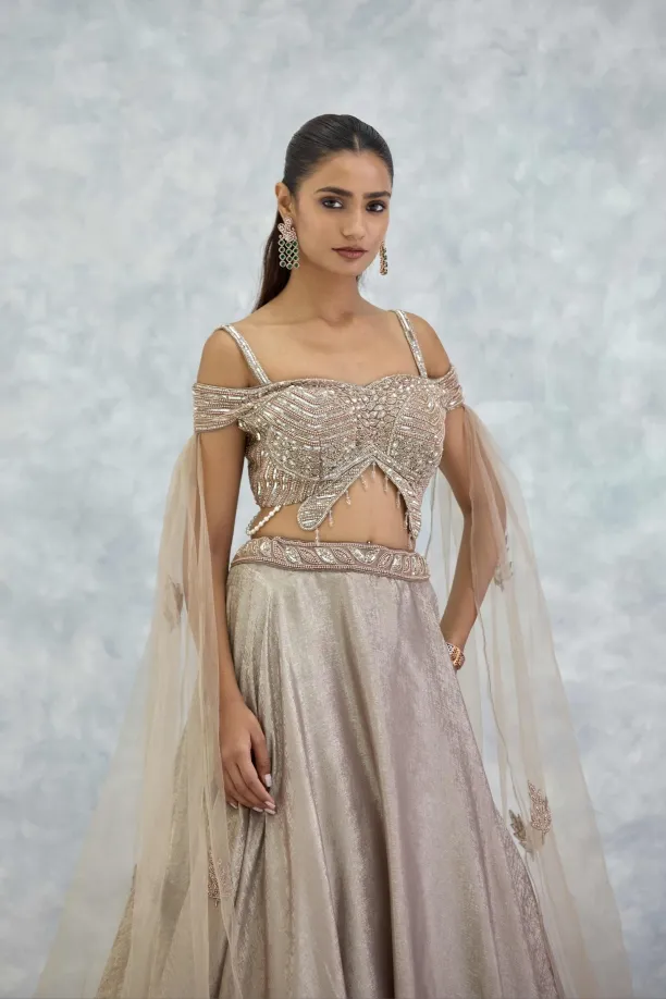 Light Beige Net Lehenga Set