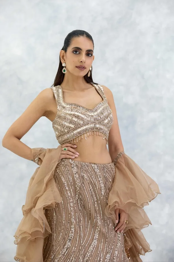 Beige Organza Lehenga Set