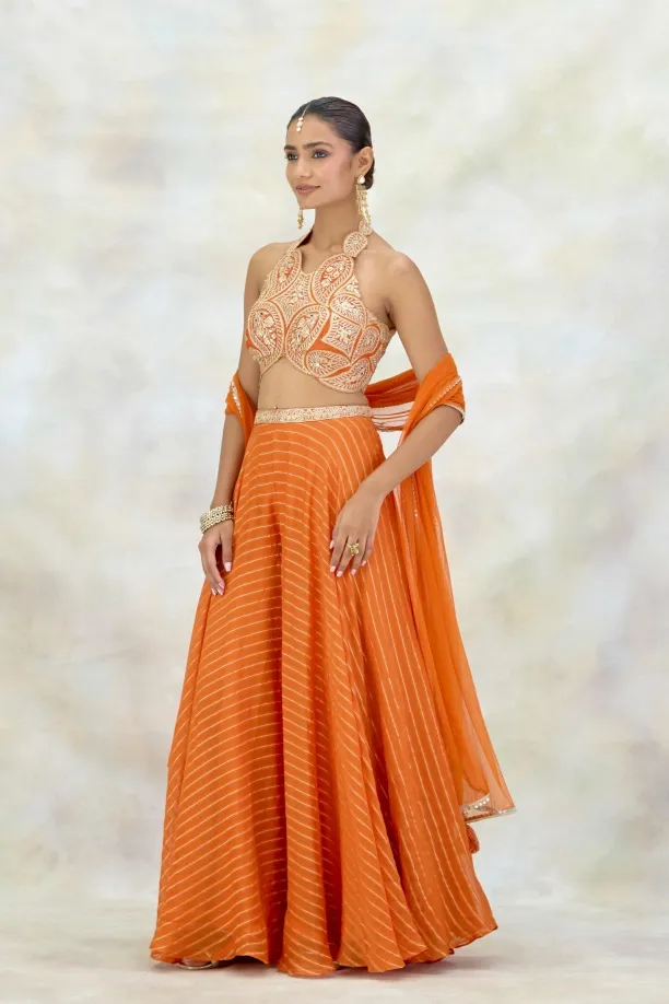 Tangerine Organza Sharara Set