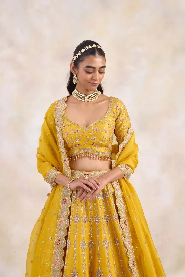 Hufflepuff Yellow Lehenga Set 