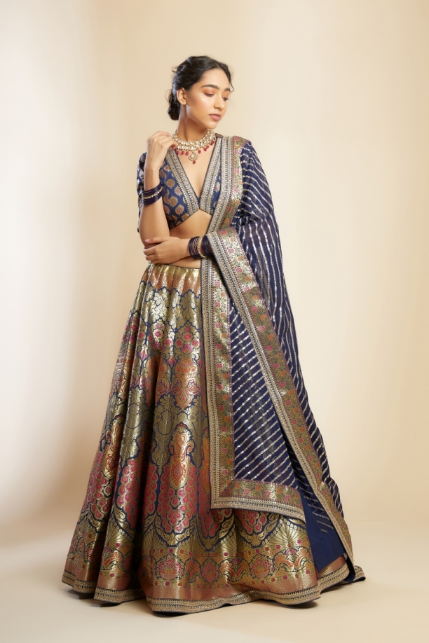Navy Blue banarasi Silk Lehenga