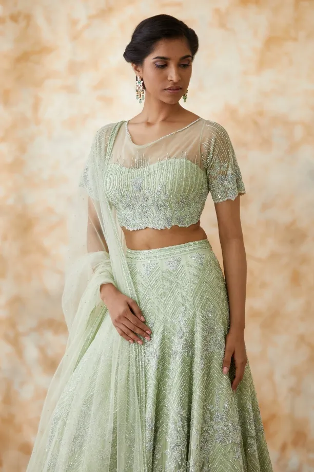 Mint Green Net Lehenga
