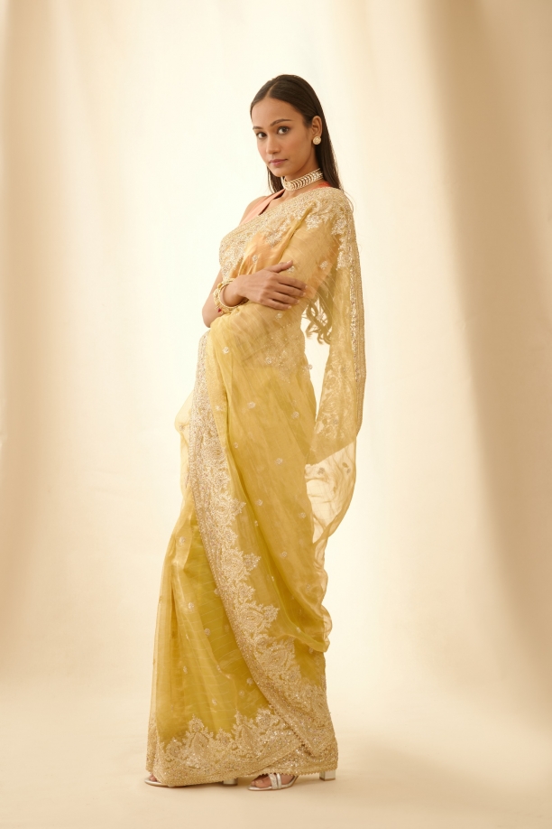 Golden Crest Embroidered Tissue Organza Saree