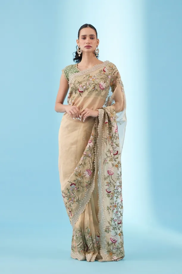 Antique Gold Tissue Organza Saree