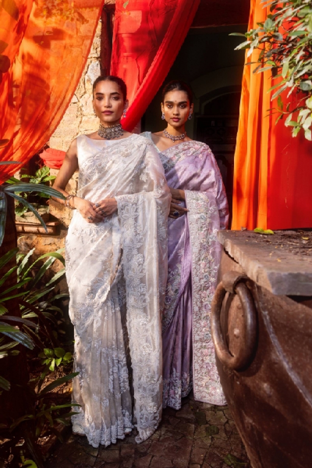 Silver Banarasi Tissue Sare