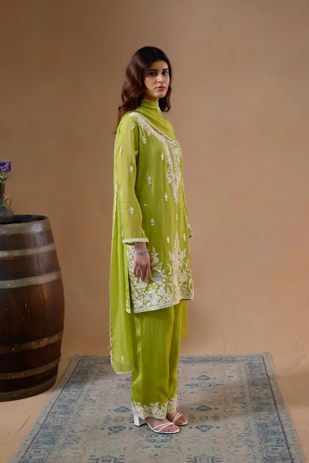 Parrot Green Suit Set