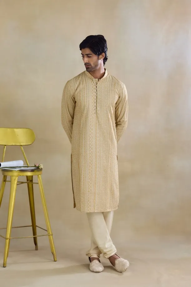 Beige Silk Kurta Set