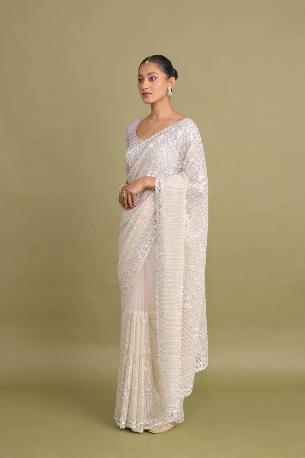Coconut Sand Net Saree
