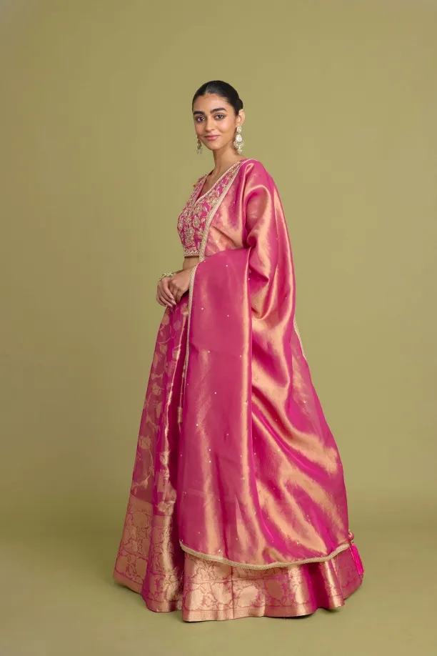 Rani Pink Lehenga Set 