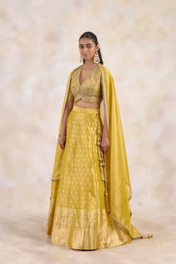Burnished Mustard Lehenga Set 