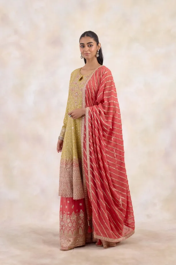 Honey Mustard Sharara Set 
