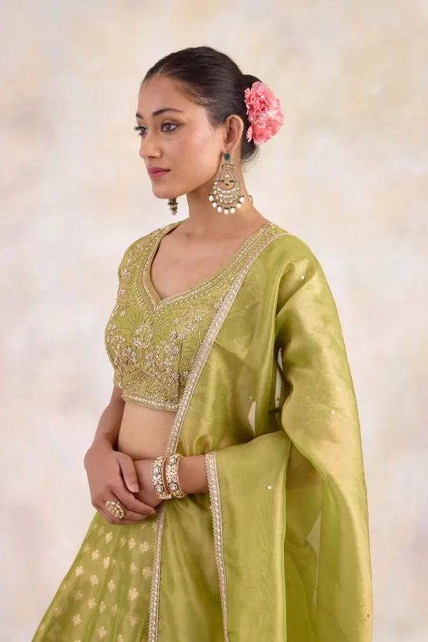 Olive Gold Lehenga Set 