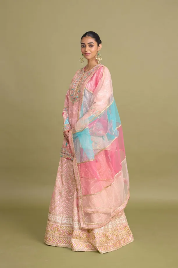Desert Pink Sharara Set 