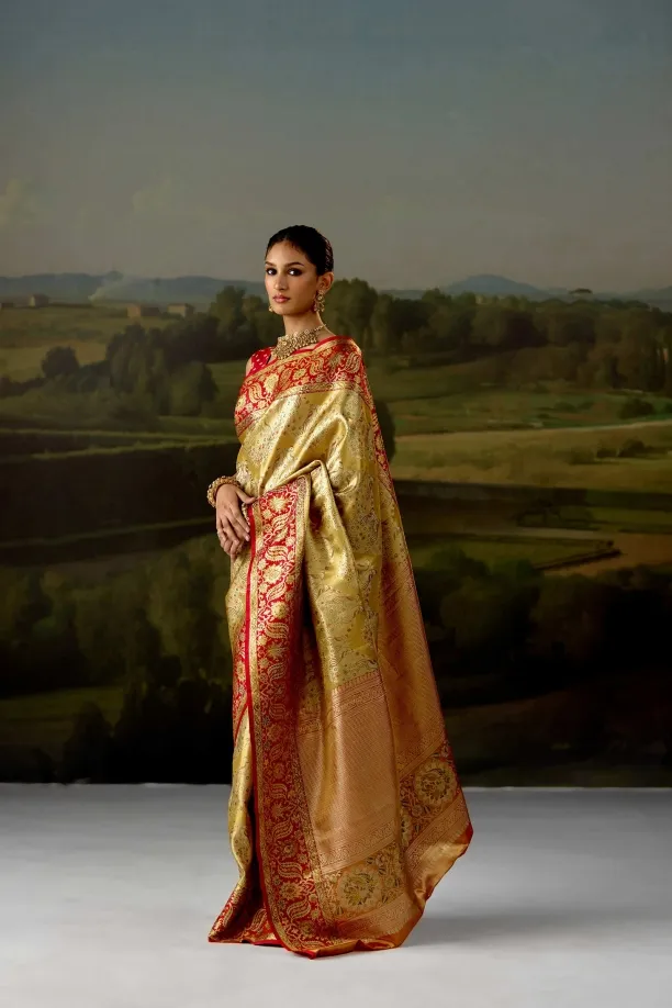 Mustard Gold Tissue Silk Saree