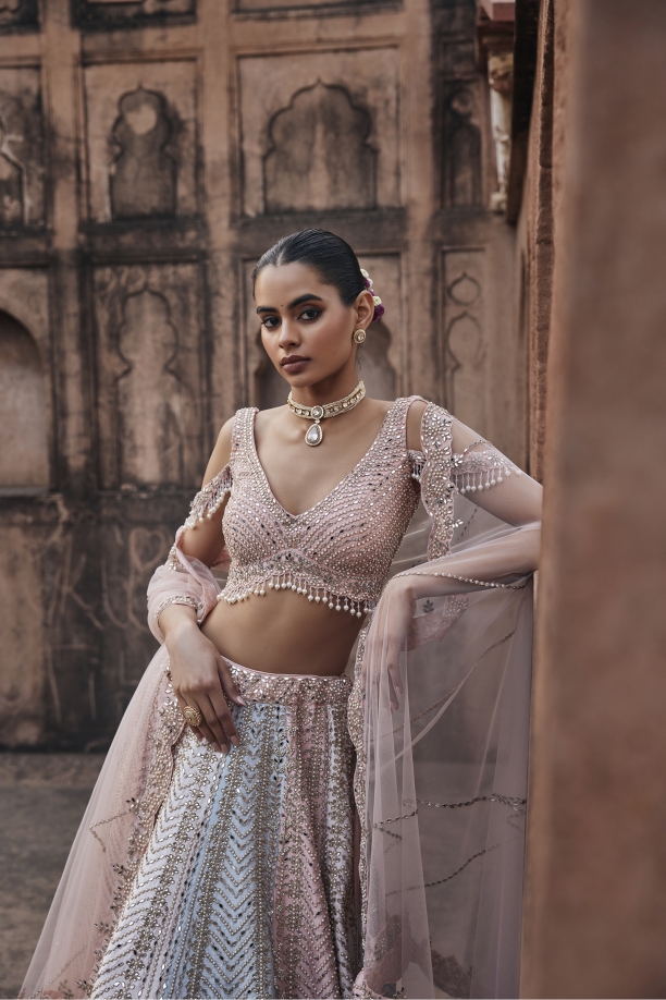 Multihue Pastel Net Lehenga Set