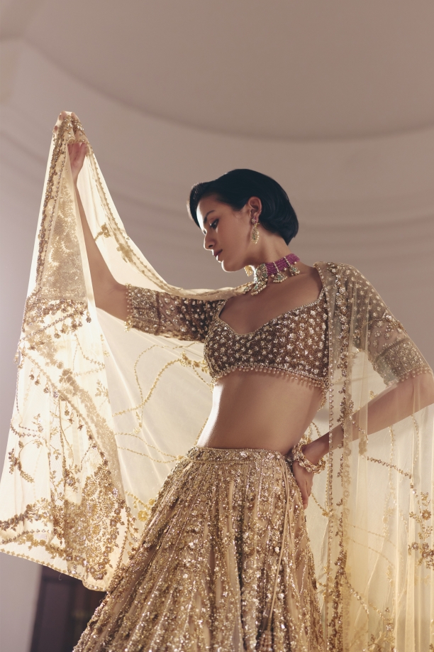 Gold Net Lehanga Set