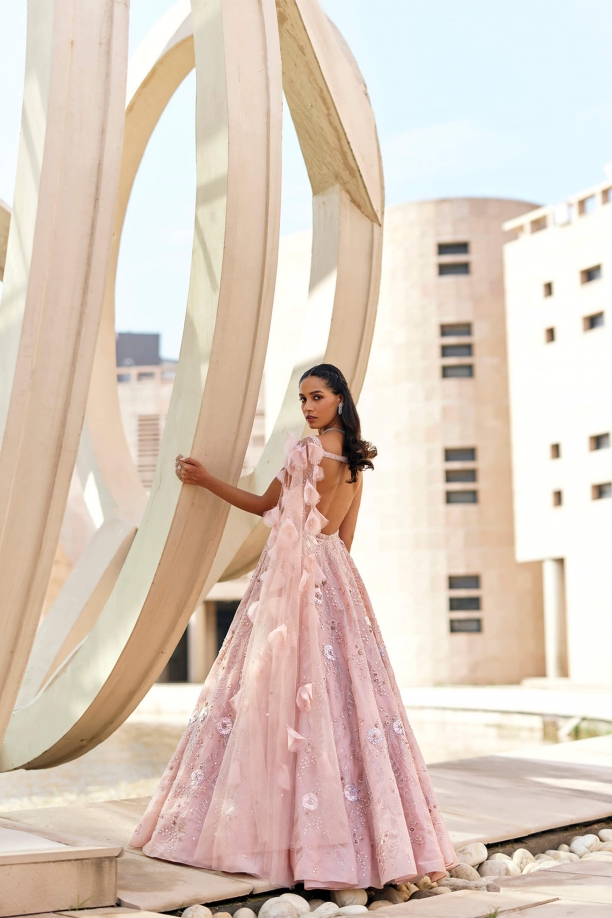 Blush Pink Organza Gown