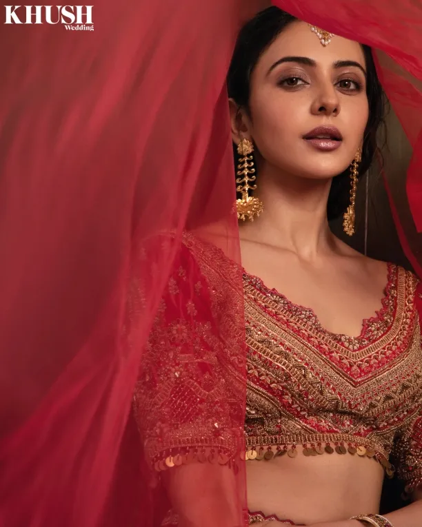 Red Raw Silk Lehenga