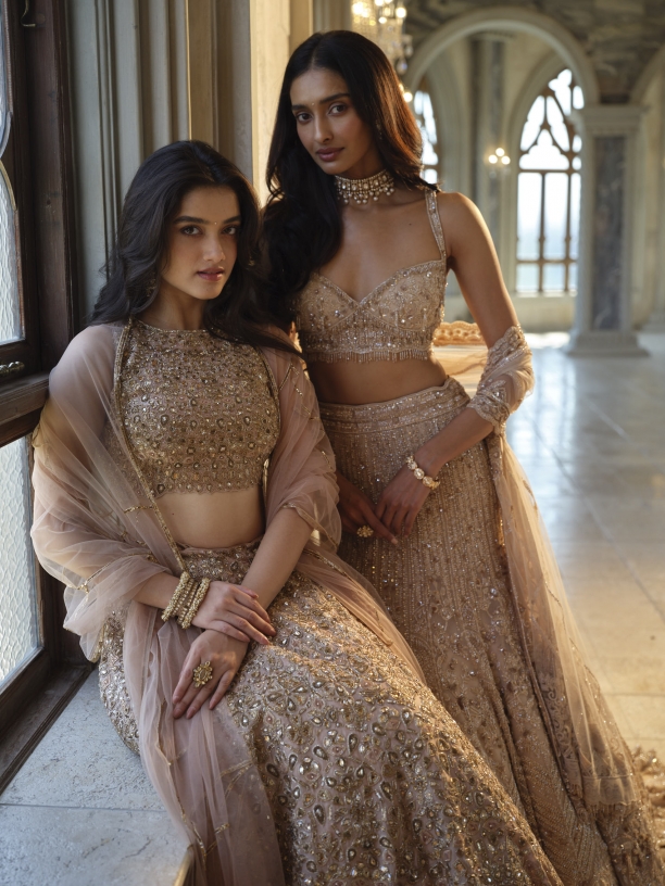 Champagne Organza Lehenga