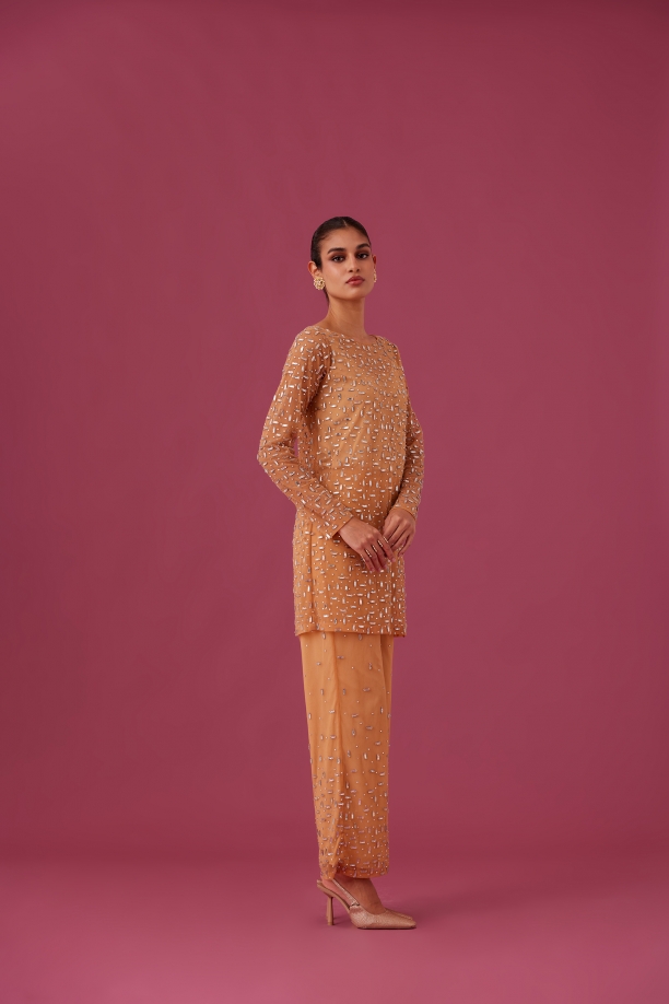 MEDHA BATRA - Champange Rose Co ord