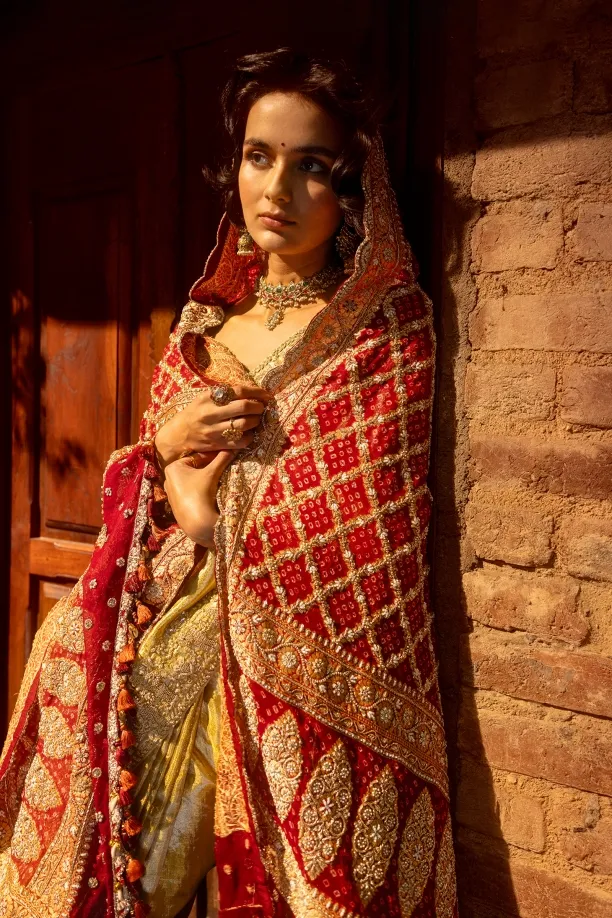 Gold Banarasi Tissue Saree