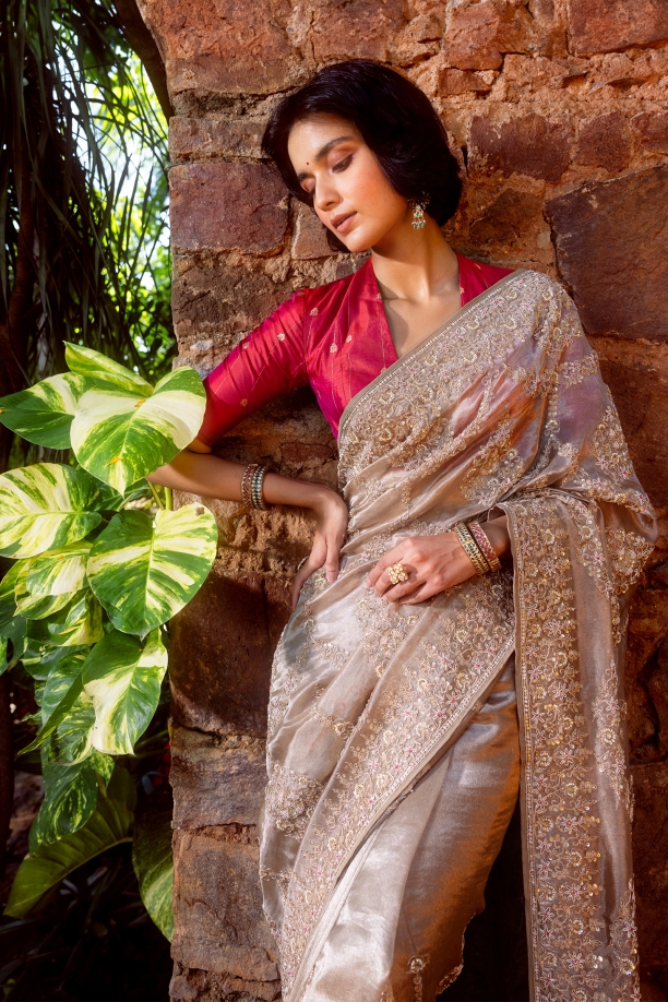 Brown Banarasi Tissue Saree