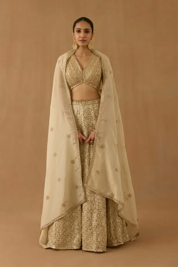Beige tissue silk lehenga set