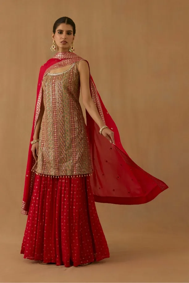 Rani Red Georgette Garara Set Rani Red Georgette Garara Set