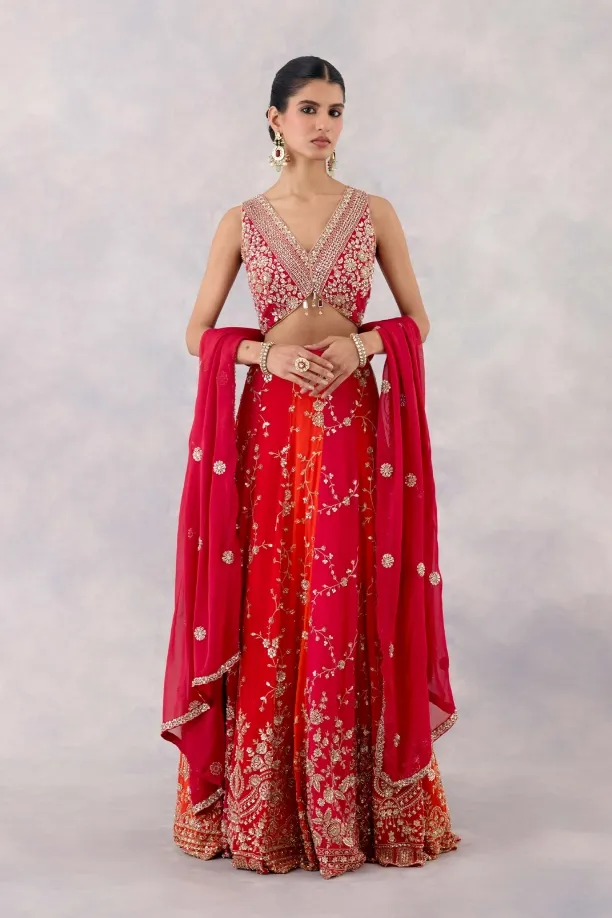 Rani Red Georgette Lehenga Set