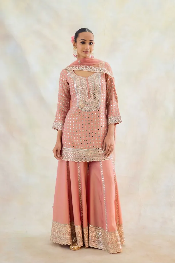Blush Pink Tissue Sharara Set 