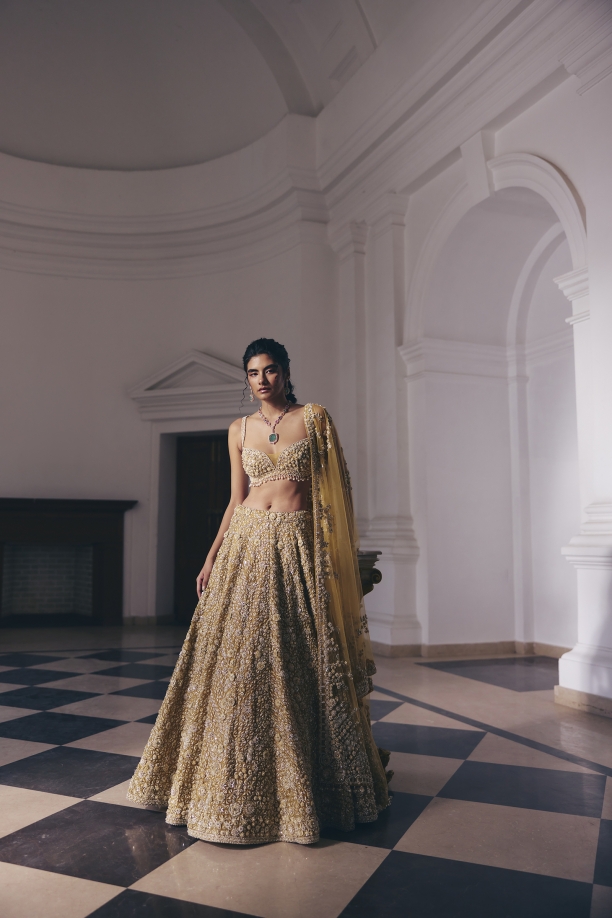 Mustard-Gold Net Lehenga Set
