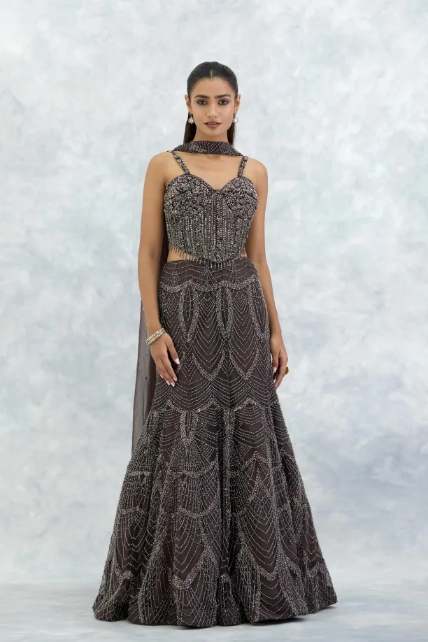 Earthy Brown Organza Lehenga Set