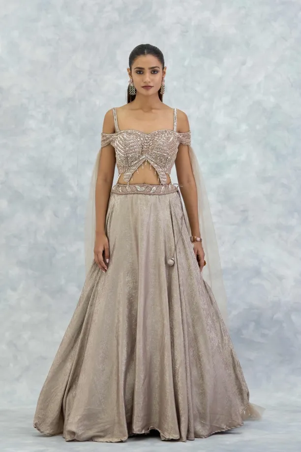 Light Beige Net Lehenga Set