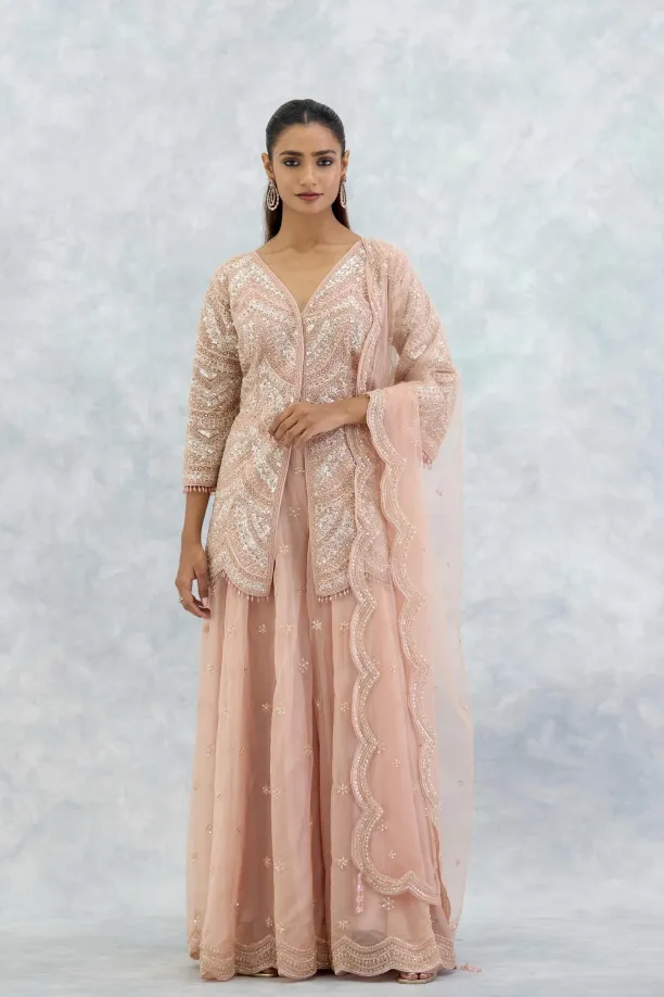 Soft Peach Organza Sharara Set
