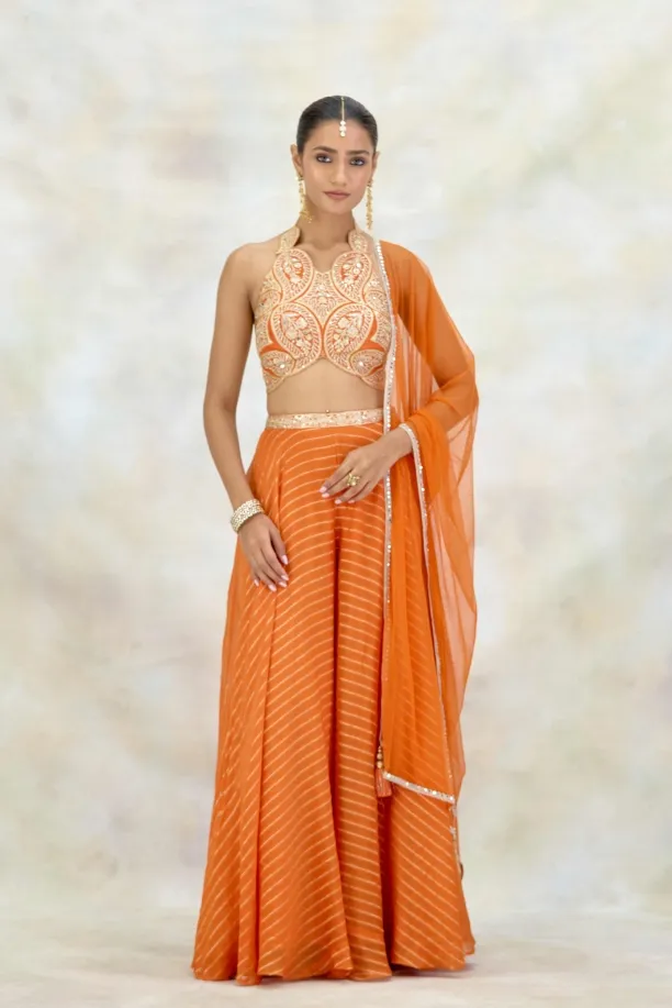 Tangerine Organza Sharara Set