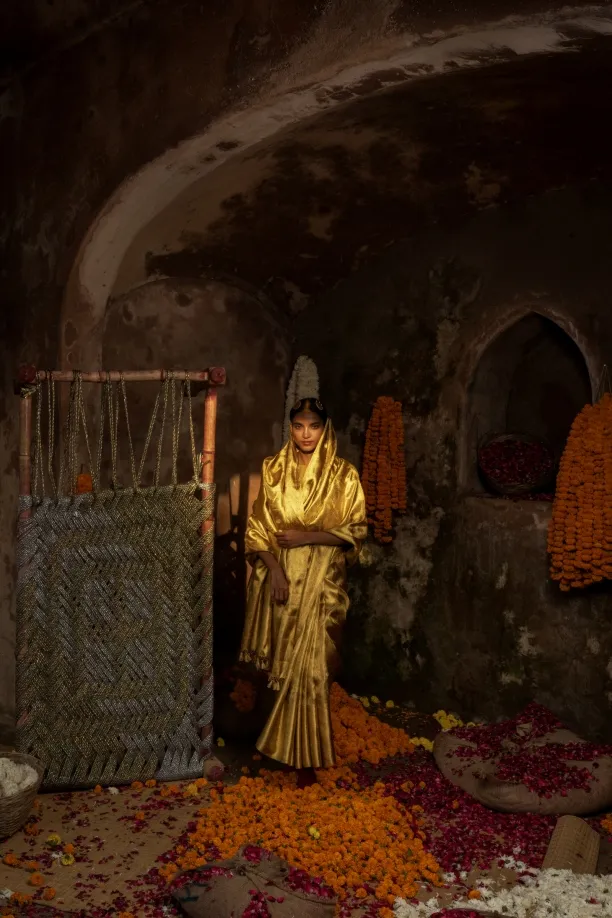 Molten Gold Kanjivaram Tissue Saree