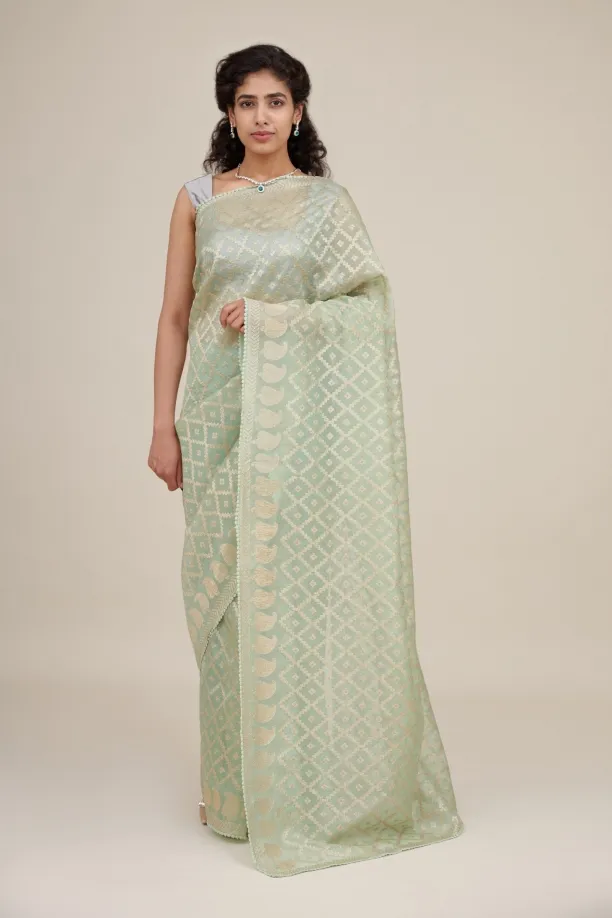 Pastel Light Green Organza Saree