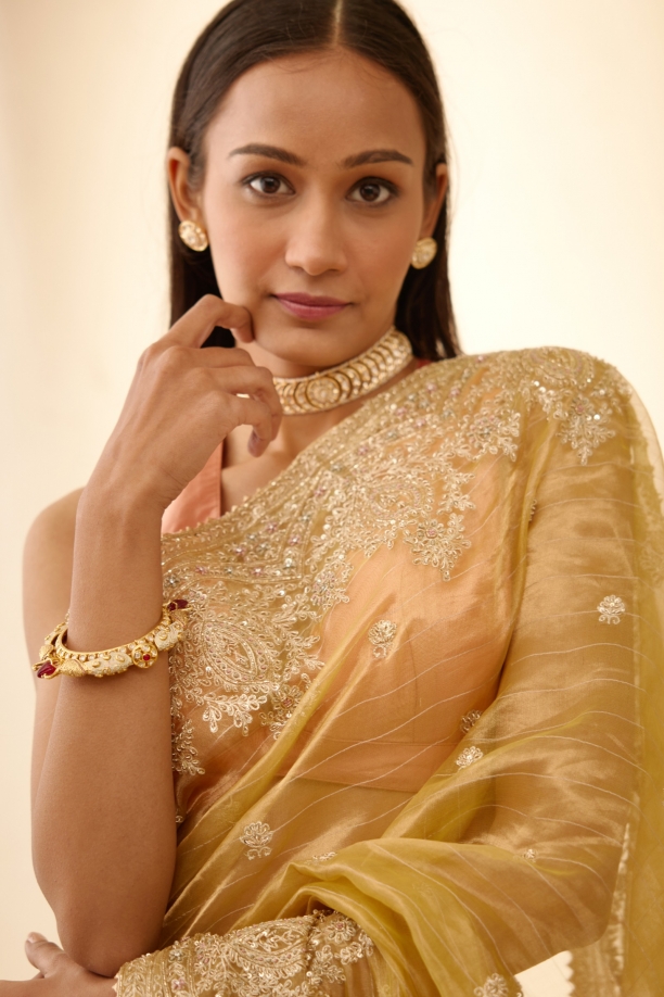 Golden Crest Embroidered Tissue Organza Saree