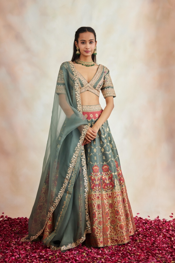 Rare Grey Banarasi Silk Paithni Lehenga