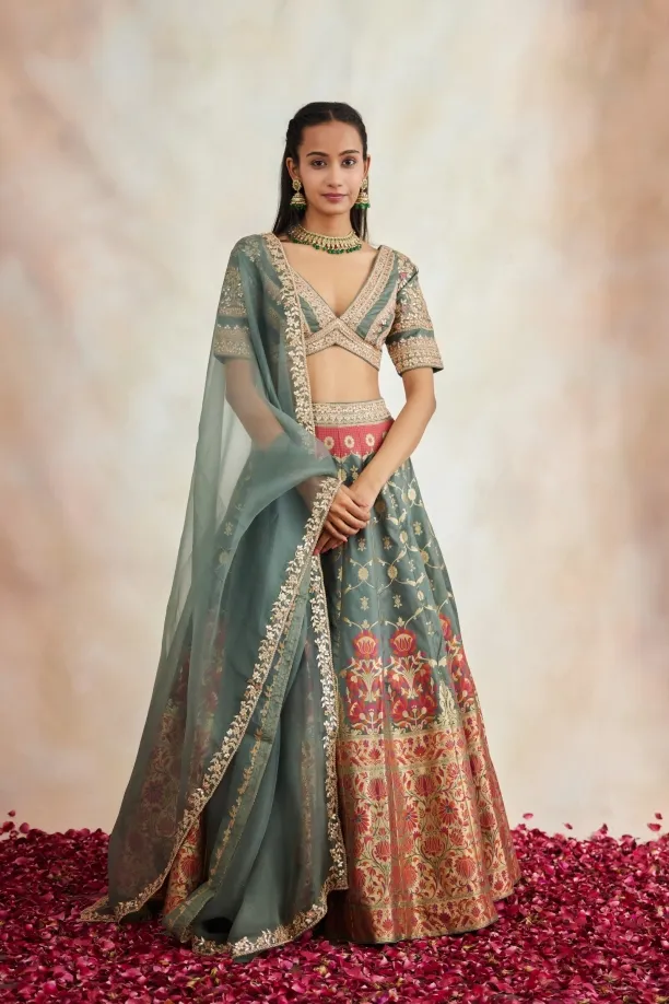 Rare Grey Banarasi Silk Paithni Lehenga