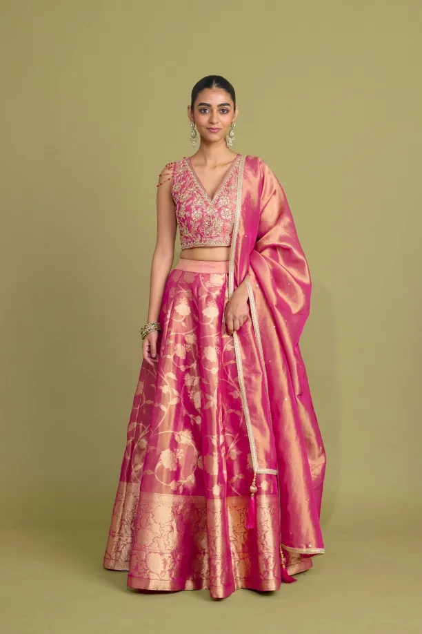 Rani Pink Lehenga Set 