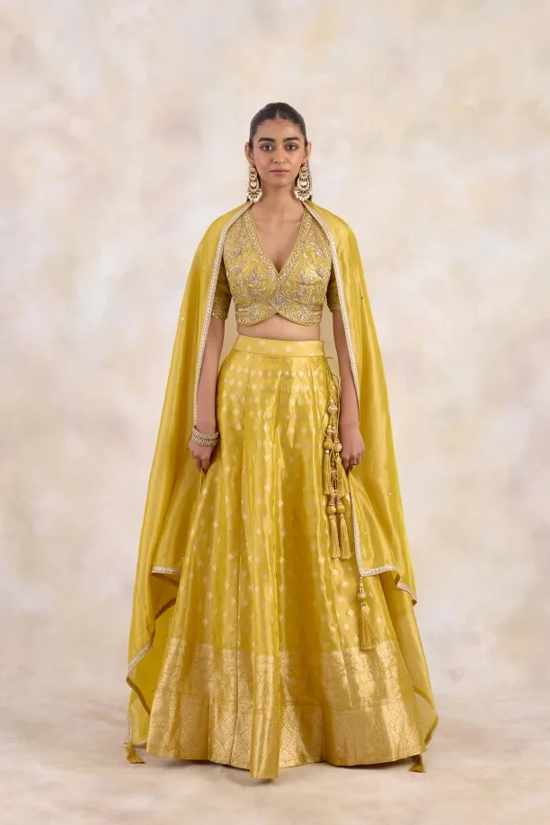 Burnished Mustard Lehenga Set 